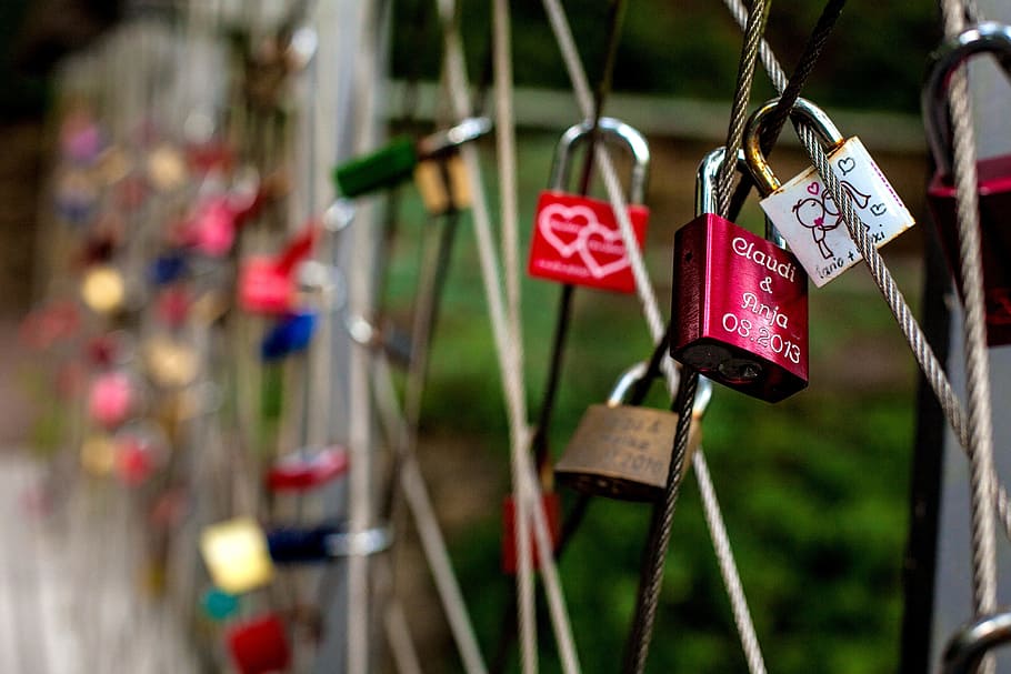 Forever Capture: Pet Photography Memories