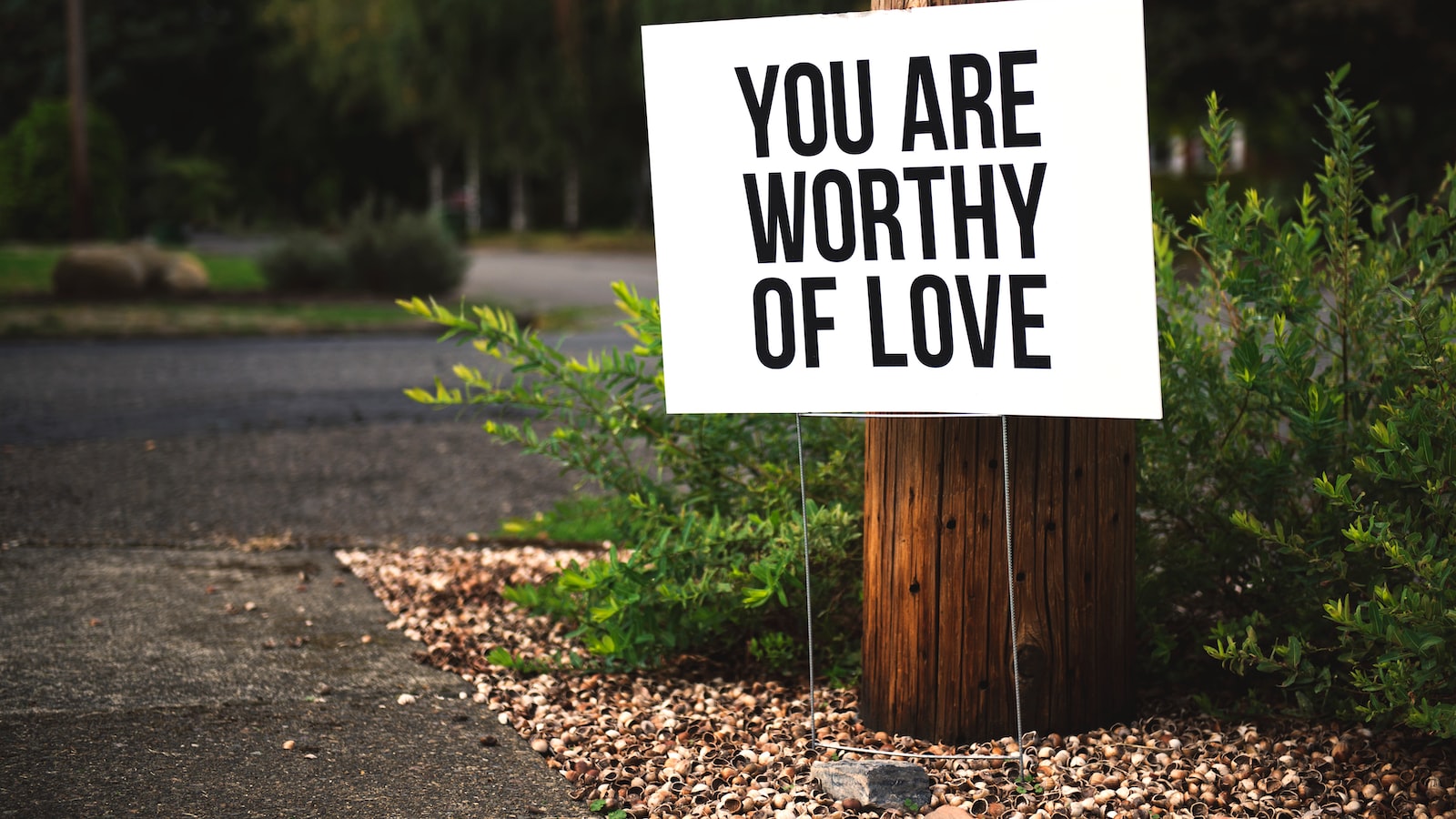 Unconditional Love: The Benefits of ESAs and Therapy Pets